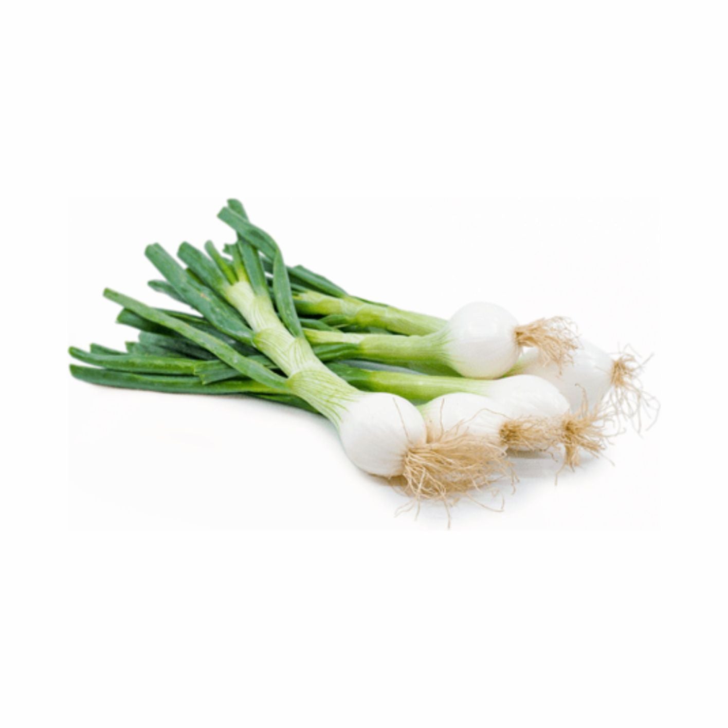 Spring Onion Each Piece, Ideal for garnishing, salads
