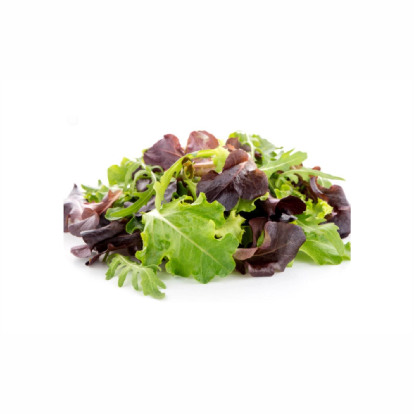 Mix Lettuce Each Piece, perfect for salads and wraps
