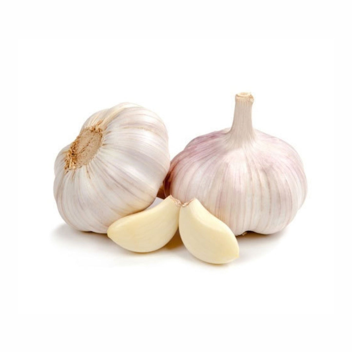 Fresh Garlic, Pungent and flavorful,