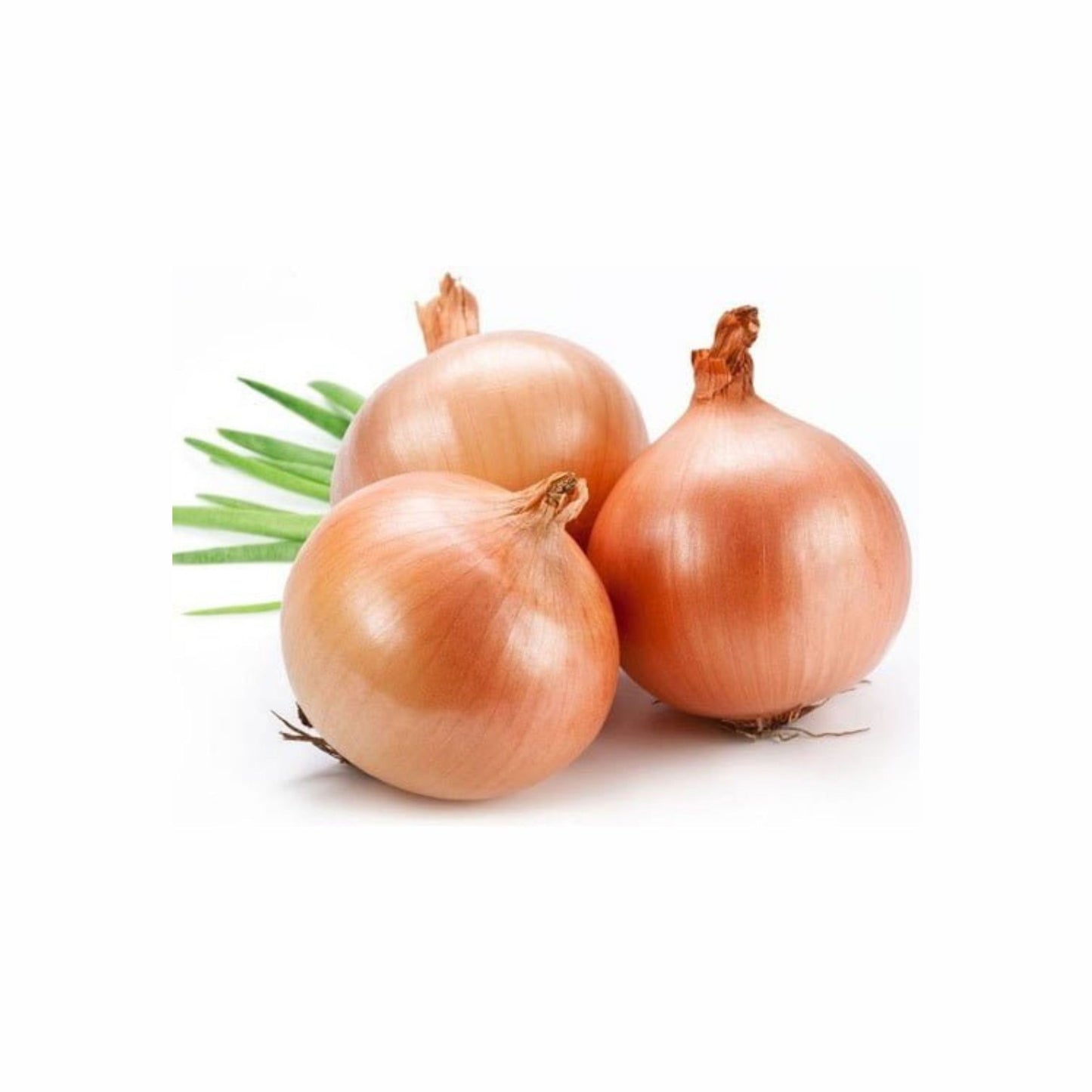 Fresh Onions 5 pk, Perfect for adding depth to soups, salads