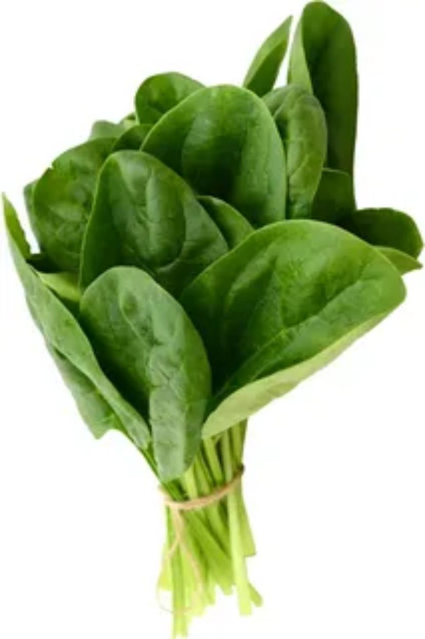 Spinach Leaves Bunch