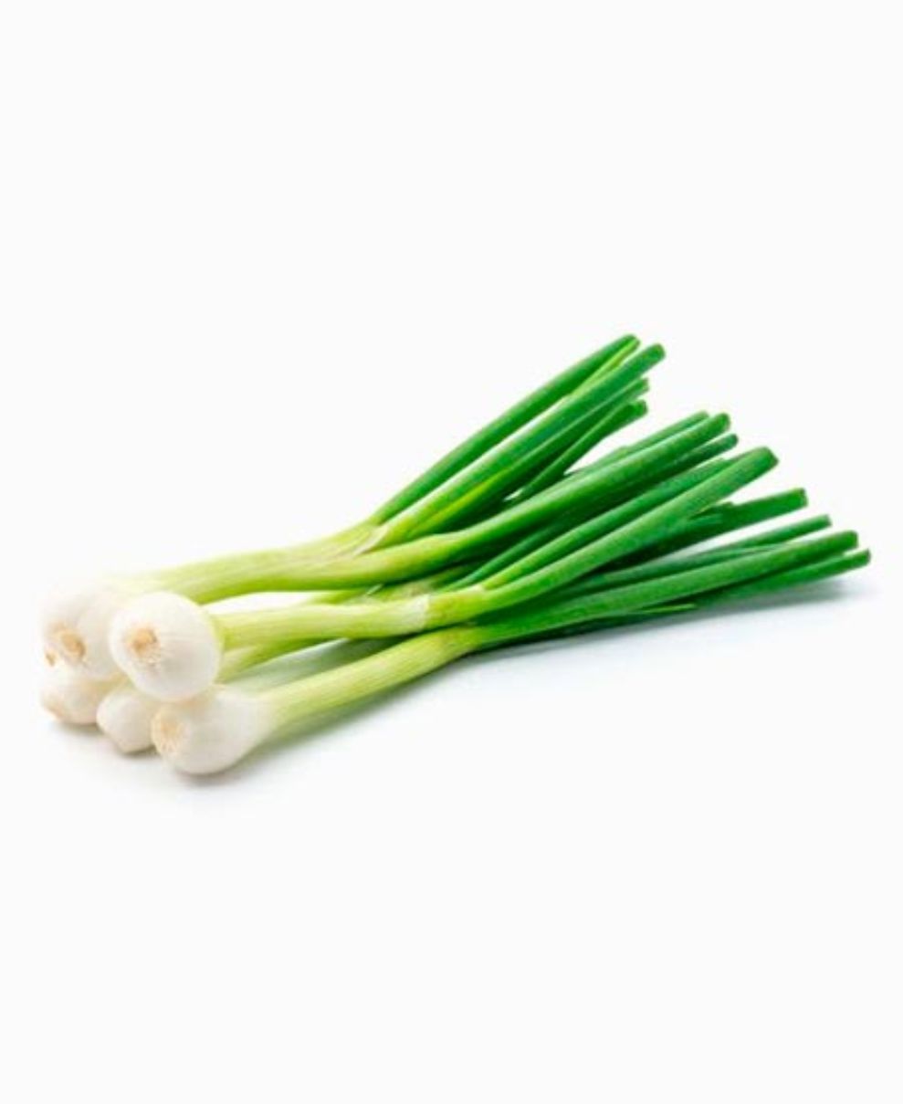 Spring Onion Bunch