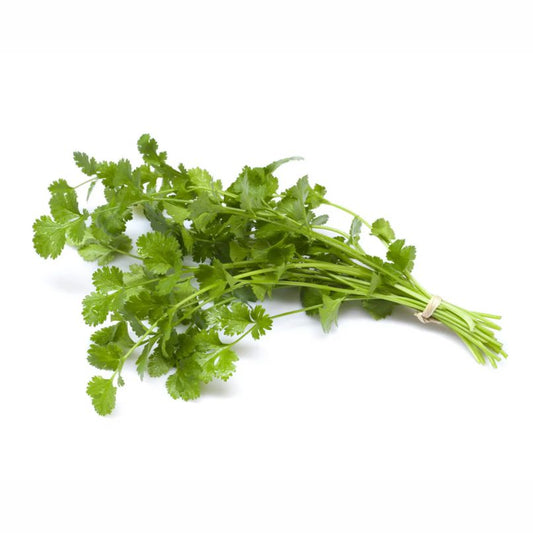 Coriander Leaves Bunch