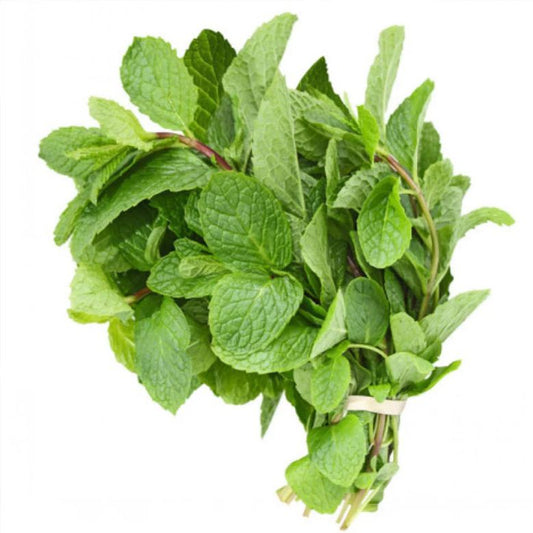 Mint Bunch